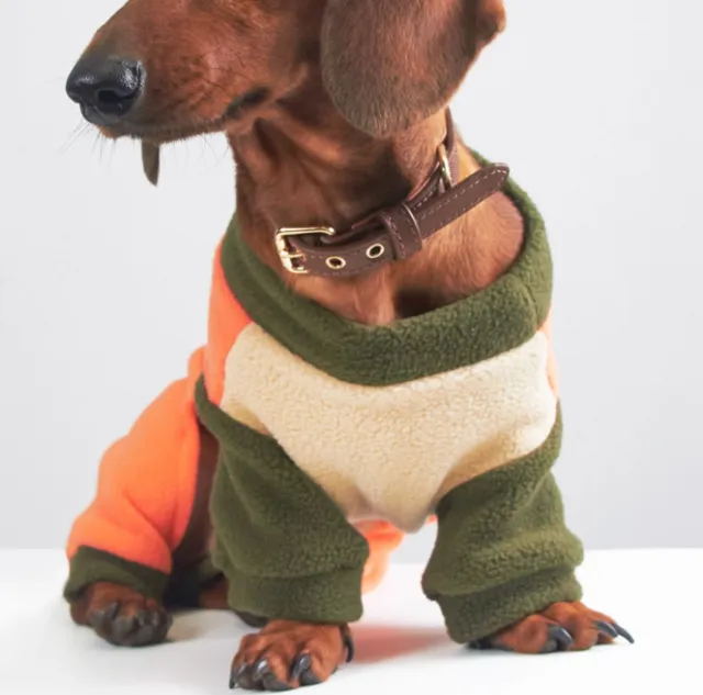 Autumn And Winter Dog Cat Pet Thermal Grain Velvet Band Traction Orange - Shop at LoveMi