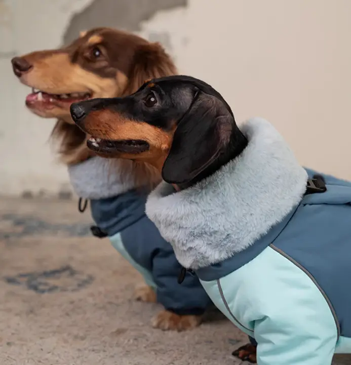 Dachshund Autumn And Winter Thick Warm Four-leg Cotton-padded Jacket