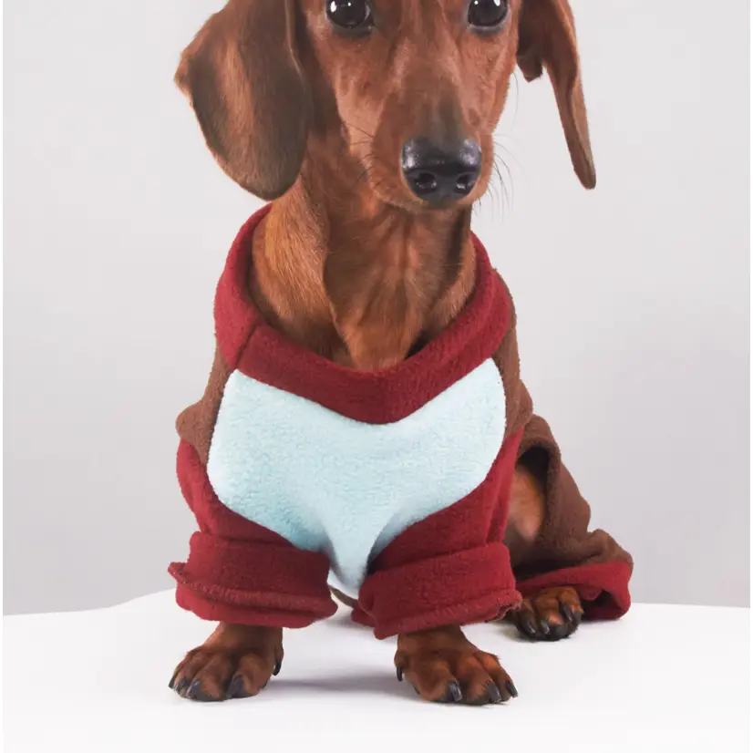 Autumn And Winter Dog Cat Pet Thermal Grain Velvet Band Traction