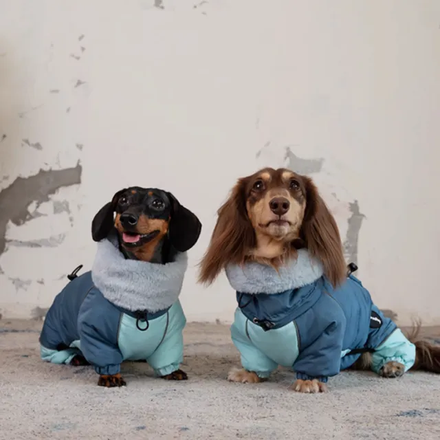 Dachshund Autumn And Winter Thick Warm Four leg Cotton padded Jacket Navy Blue - Shop at LoveMi