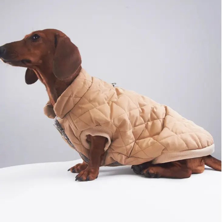 Puppy Winter Clothes Diamond Lattice Cotton-padded Clothes Corgi