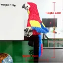 Red Parrot