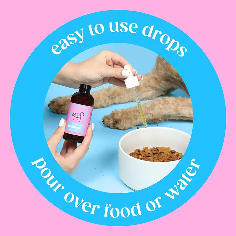 Pet Collagen Drops
