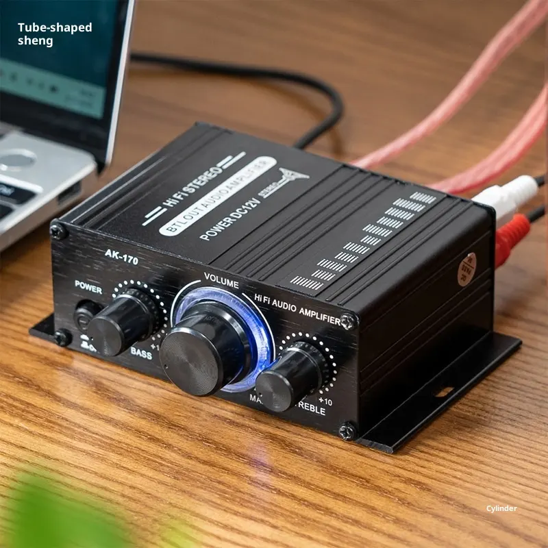 Mini Small Amplifier Home Computer Audio Channel Height Power