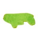 Fluorescent Green