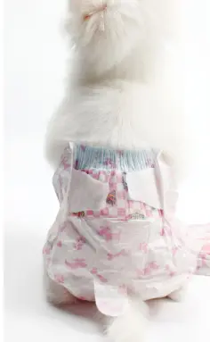 Dog Diapers And Diapers Sanitary Pads