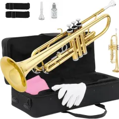 Gold Lacquer Trumpet Musical Instrument B Flat Children's Grade Examination Beginner Musical Instrument - Gold Small - View 1