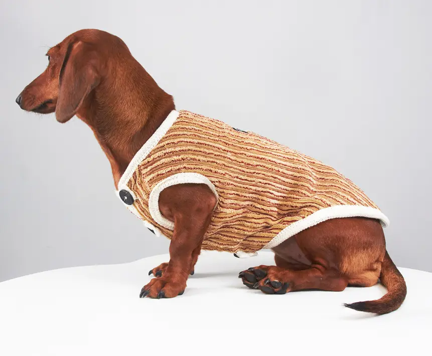 Yorkshire Miniature Pinscher Bichon Hoodie Striped