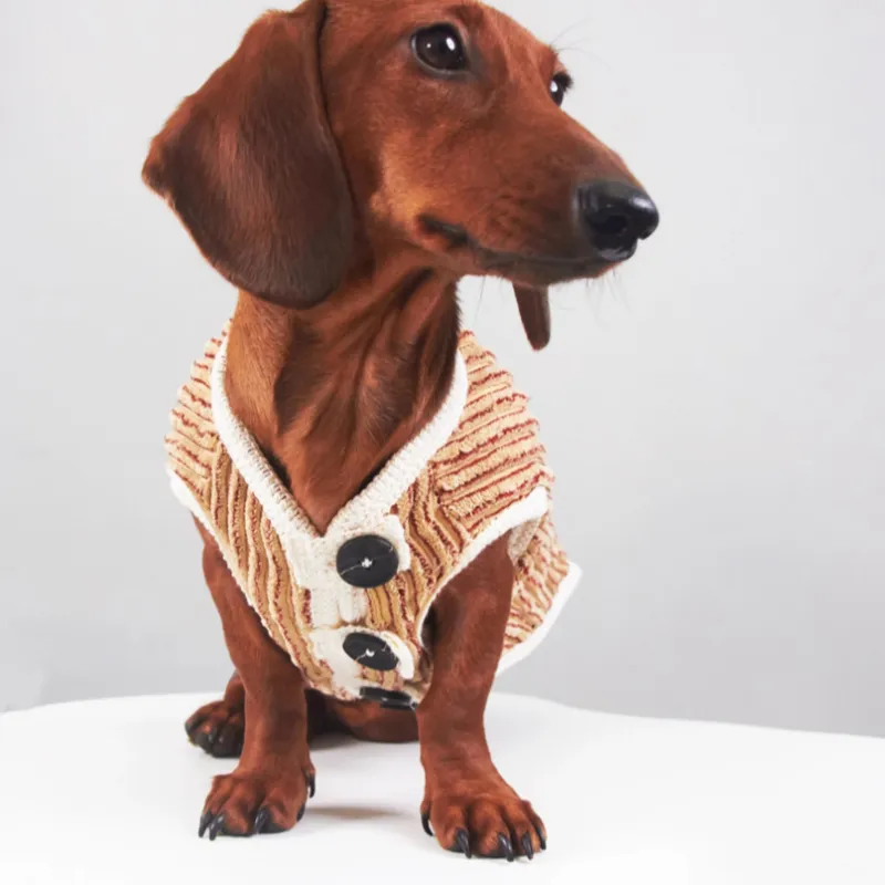 Yorkshire Miniature Pinscher Bichon Hoodie Striped - Brown