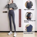 Sk26 Gray Shark Pants