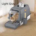 Light Gray