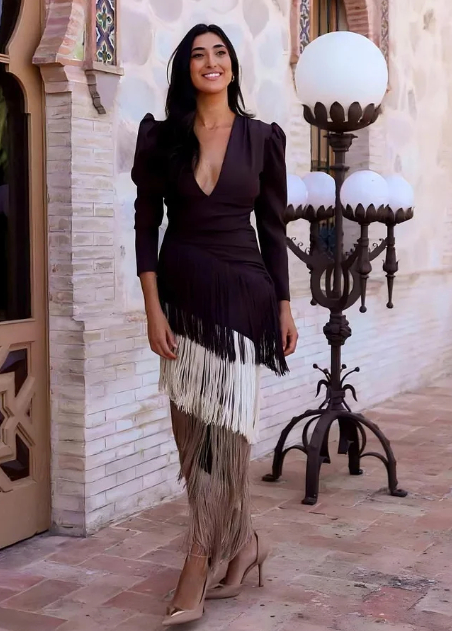 Women's Deep V neck Long sleeved Suit Dress Chocolate L - Shop at LoveMi