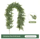2.7Meter Pine And Cypress