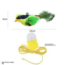 Green Warbler