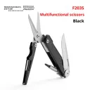 F203Sh