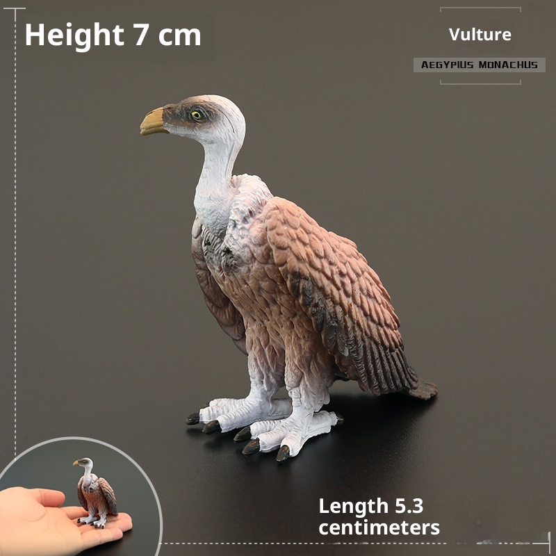 Solid Children's Simulation Animal Toys Wild Birds