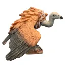 Spread The Wings