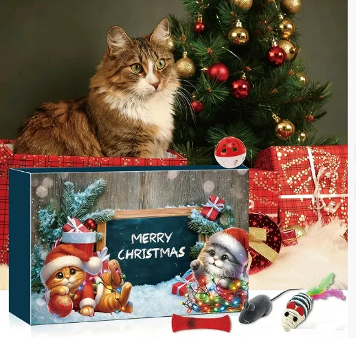 New Cat Advent Calendar Christmas Countdown Garfield - Shop at LoveMi