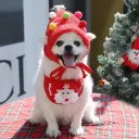 Red Set S