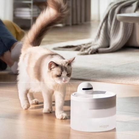 Smart Wireless Pet Water Dispenser With 24-Hour Water Quality Monitoring For Cats And Dogs