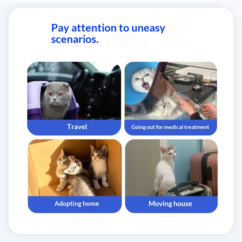 Cat Facial Pheromone Mood Calming Patch