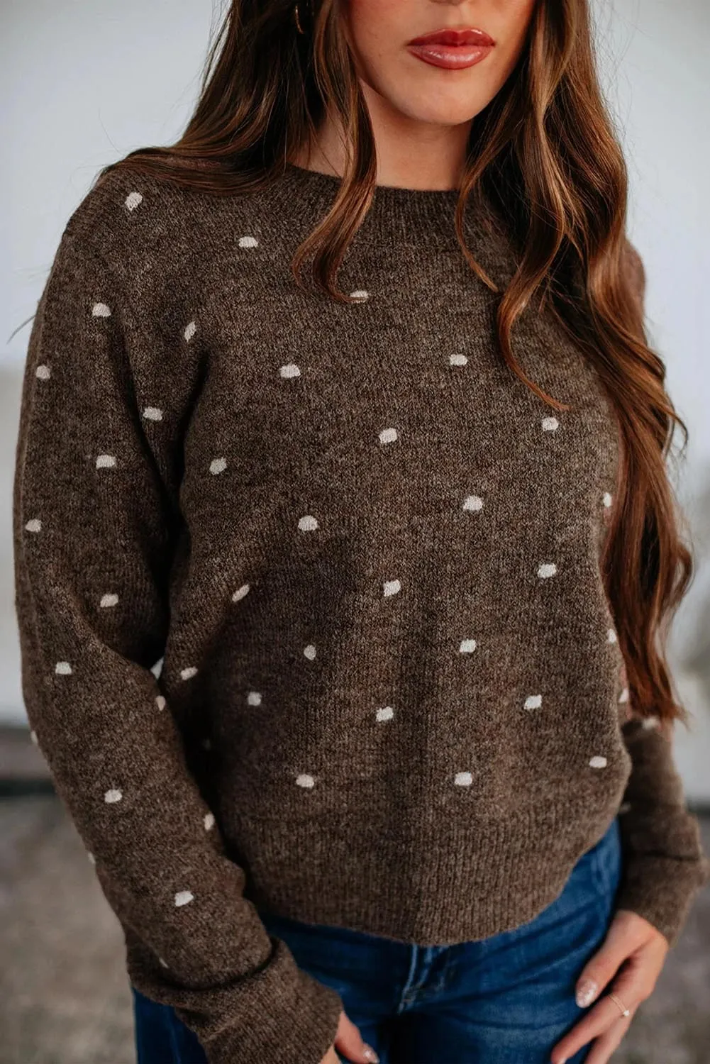 Women's Fashion Round Neck Long Sleeve Pullover Dotted Jacquard Sweater - Brown