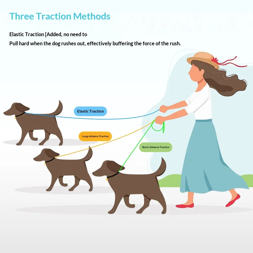 Dog Leash Anti-Burst Reflective Outdoor
