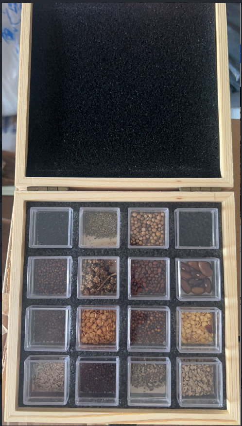 Flower And Vegetable Seed Bank Kit 16 Varieties Set Seed Storage Box Gardening Gift 16 Flower Combinations - Shop at LoveMi
