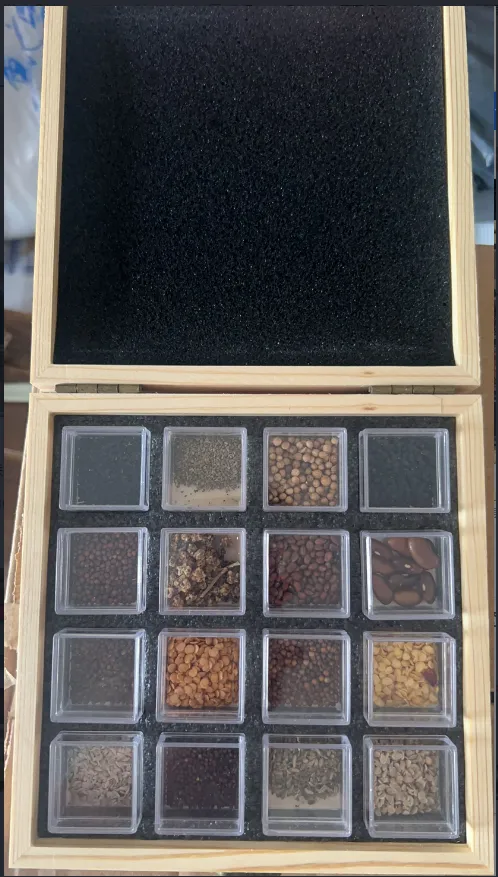 Flower And Vegetable Seed Bank Kit 16 Varieties Set Seed Storage Box Gardening Gift 16 Flower Combinations - Shop at LoveMi