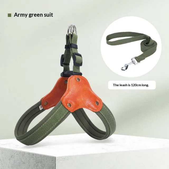 Portable household use Dog Leash Anti Escape Y Shaped Army Green Set - Shop at LoveMi