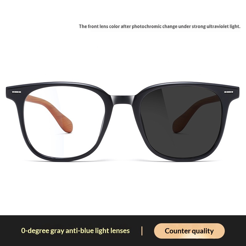 Black And Grey Lens
