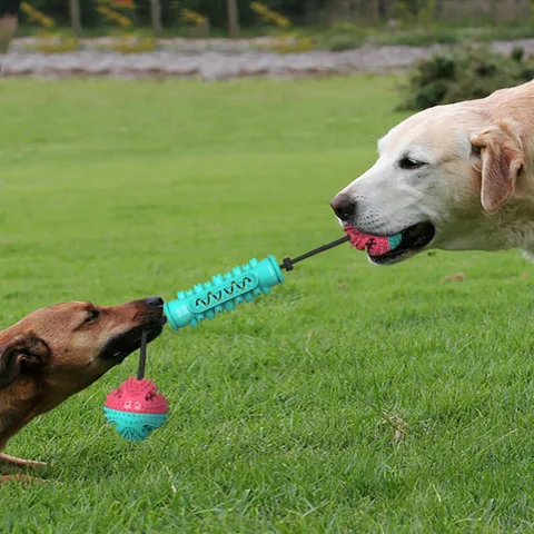 Dog Durable Chew Teeth Cleaning Toy Stick
