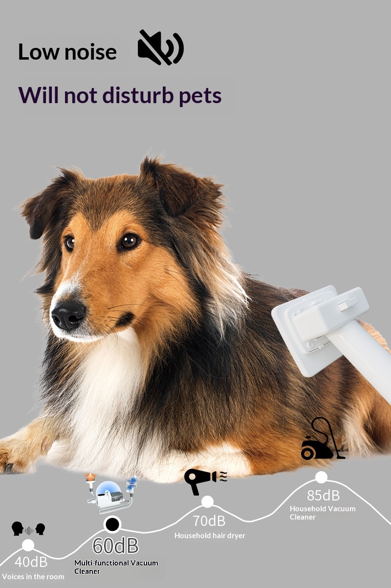 FurGlow grooming kit lifestyle
