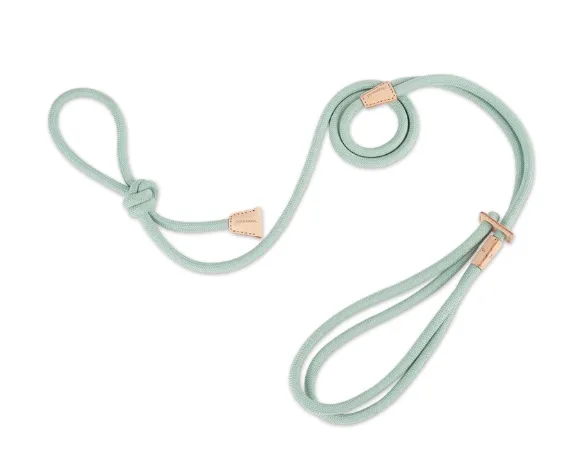 Pet Multi functional Chest Harness Anti Burst Leash Light Green - Shop at LoveMi