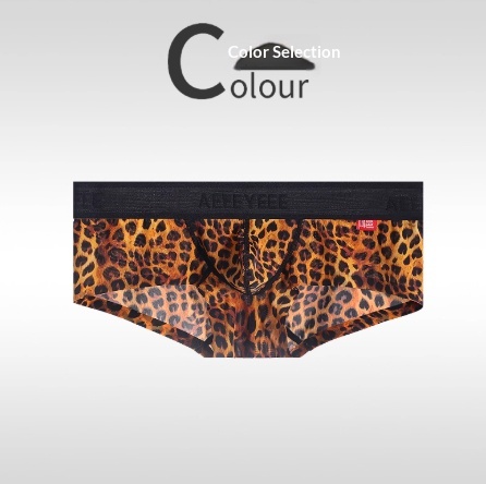 2c58a6b0 8784 456b 8577 59cf2528be46 trans