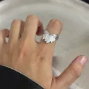 Divine Wings