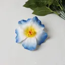 Blue Edge