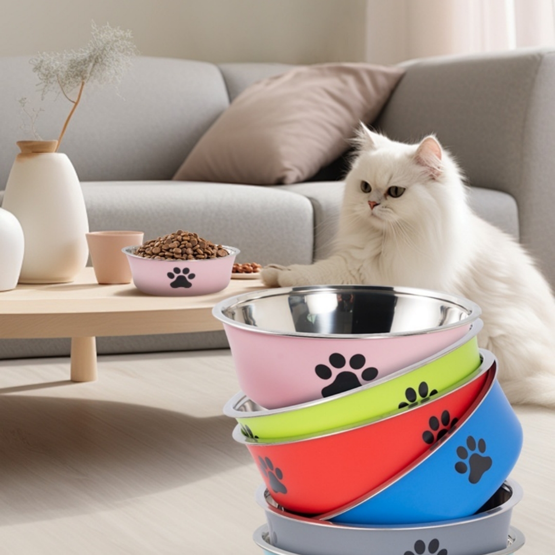 Stainless Steel High-value Anti-spill Pet Double-layer Plastic Bowl