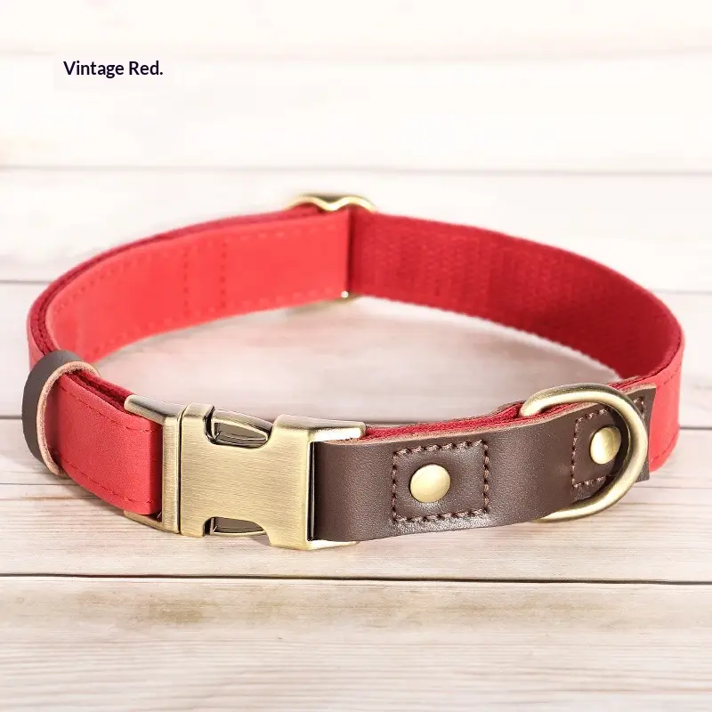 Medium Sized Dog Collar For Walking