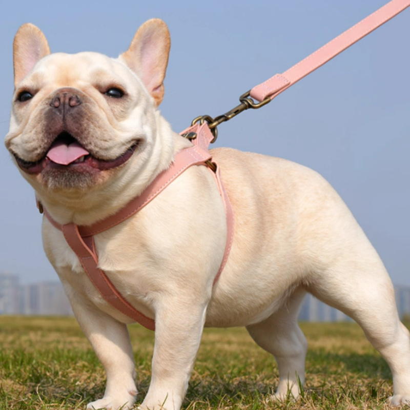 Dog Vest-style Pet Harness For Small And Medium-sized Dogs