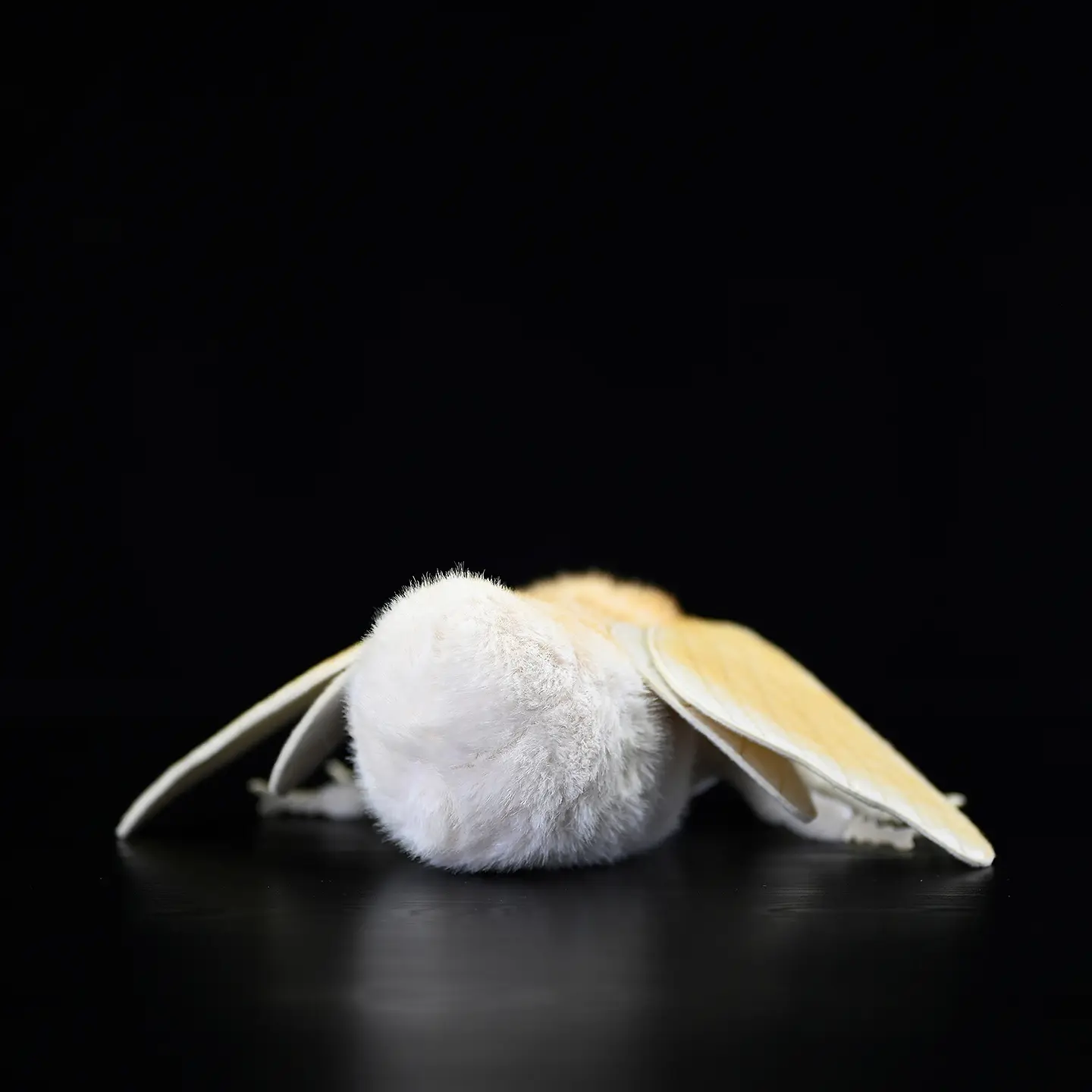 Insect Series Silkworm Moth Plush Toy Doll