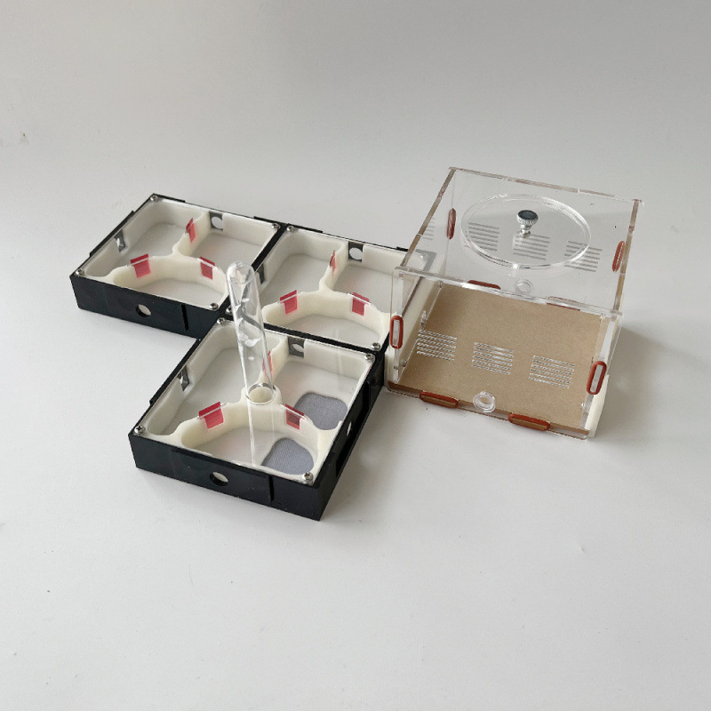 Acrylic Nest Cage Expansion And Science Communication - Image 4