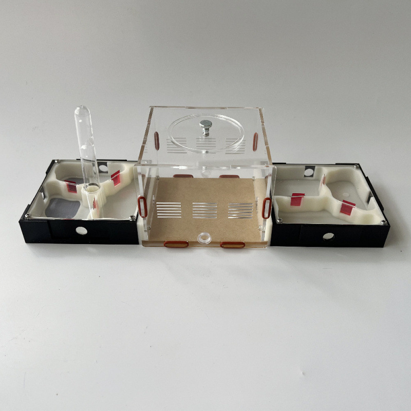 Acrylic Nest Cage Expansion And Science Communication