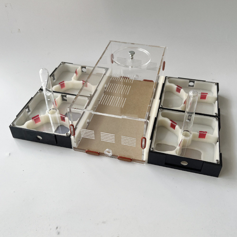 Acrylic Nest Cage Expansion And Science Communication - Image 2
