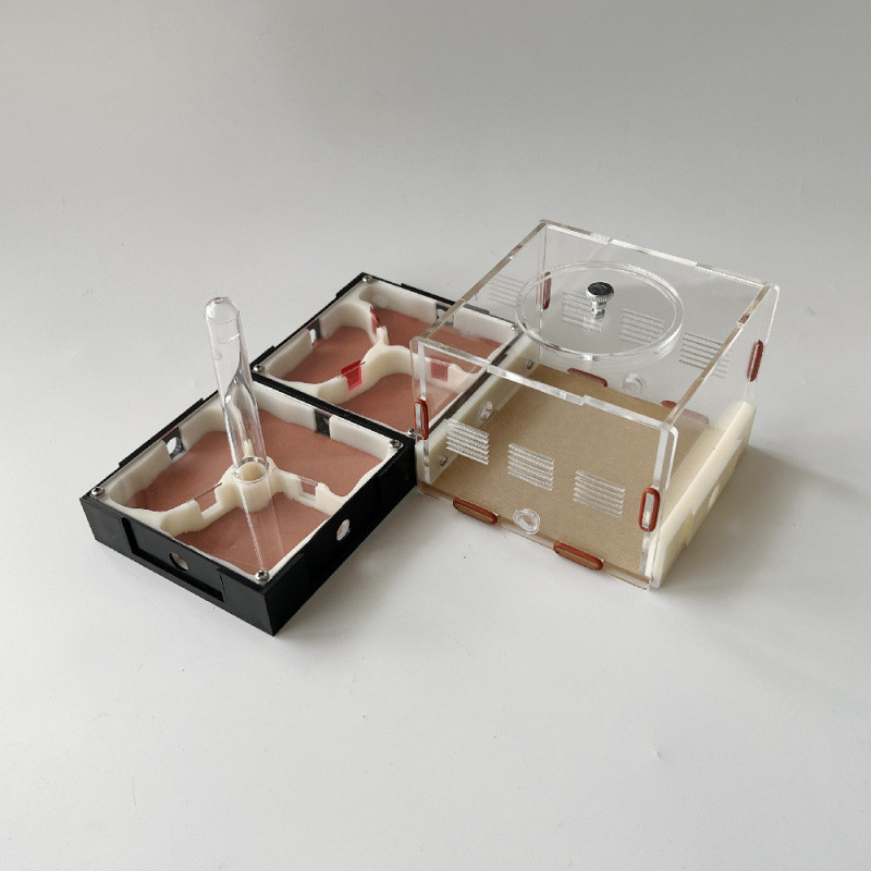 Acrylic Nest Cage Expansion And Science Communication - Image 1