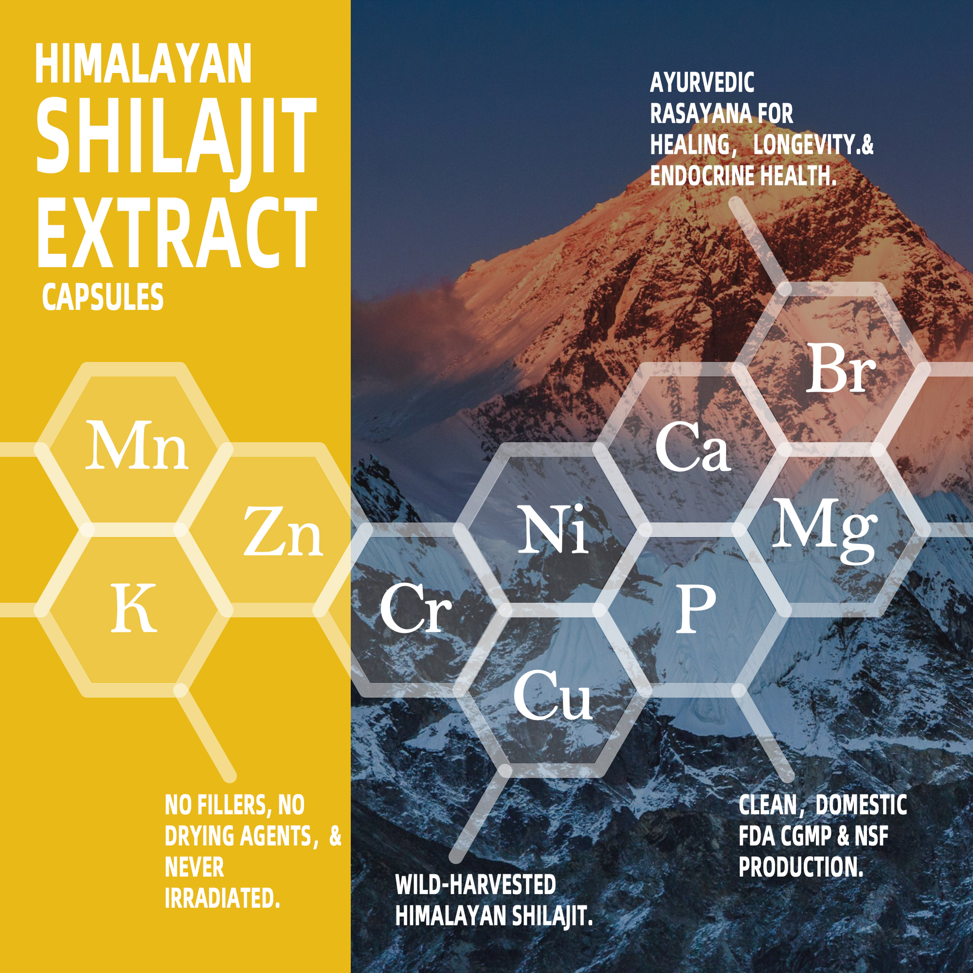 Wholesale Pure Himalayan Shilajit Capsules - Image 3
