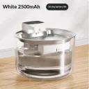 Stainless Steel White
