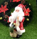 Bearded Santa Claus
