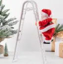 Electric Ladder Model C Doubl