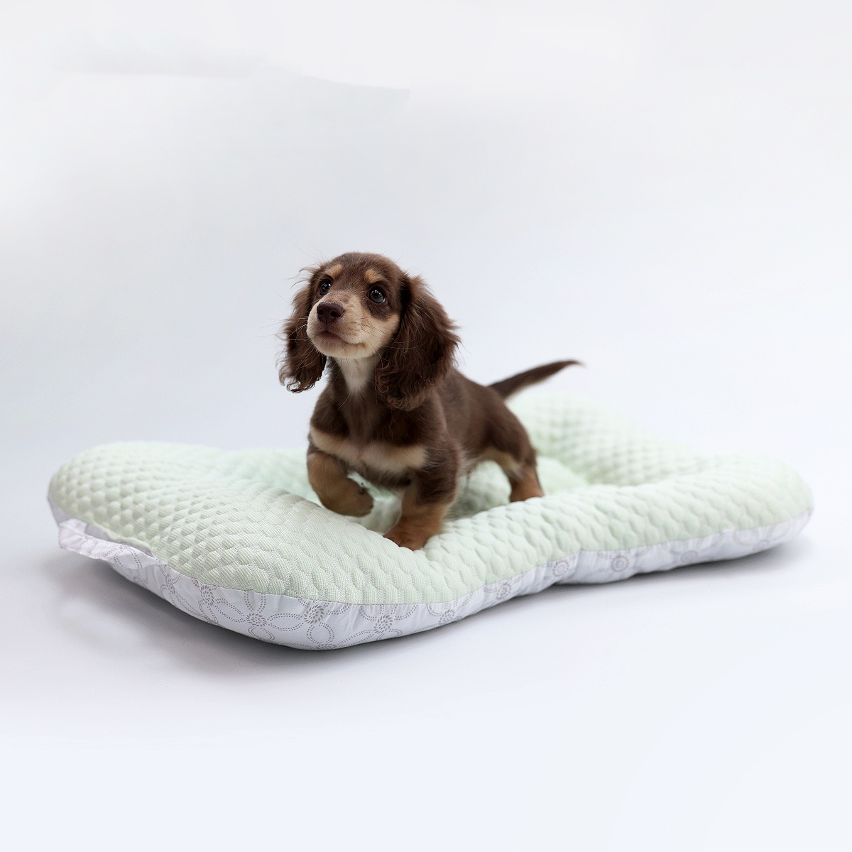 Pet Ice Mat Cooling Non-Stick And Hair-Resistant Pet Bed Mat